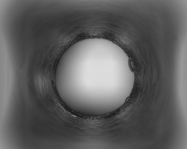 X0000087320817200704200737