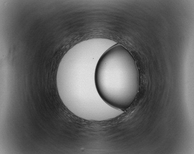 X0000087320818200704200737