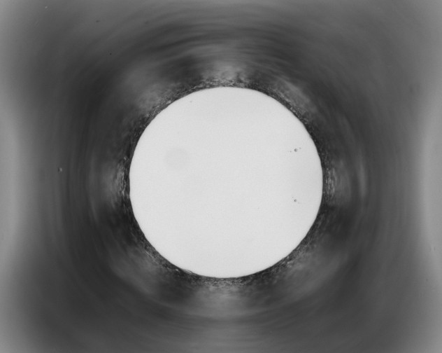 X0000087320820200704200737
