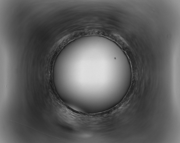 X0000087320821200704200737