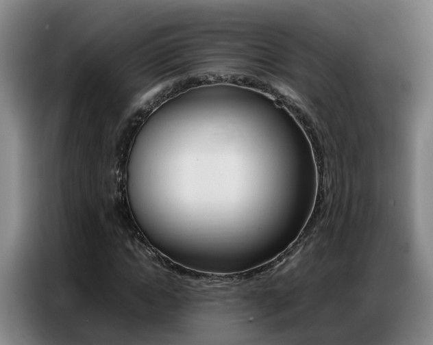 X0000087320822200704200737