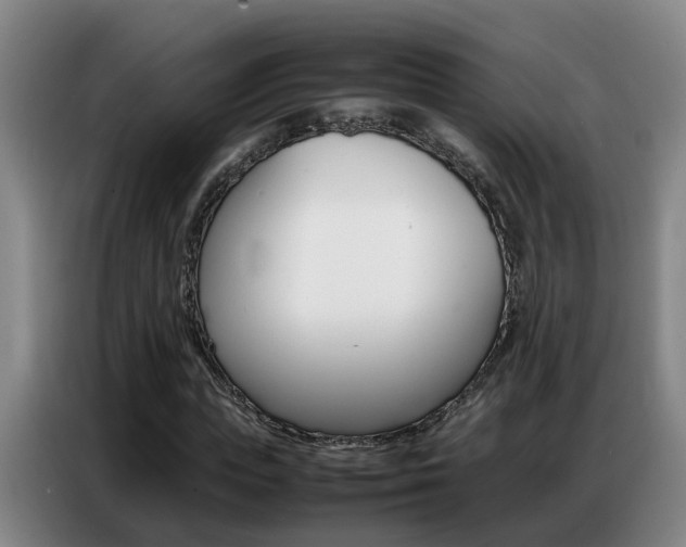 X0000087320823200704200737