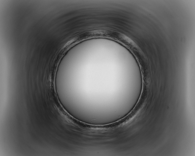 X0000087320825200704200737
