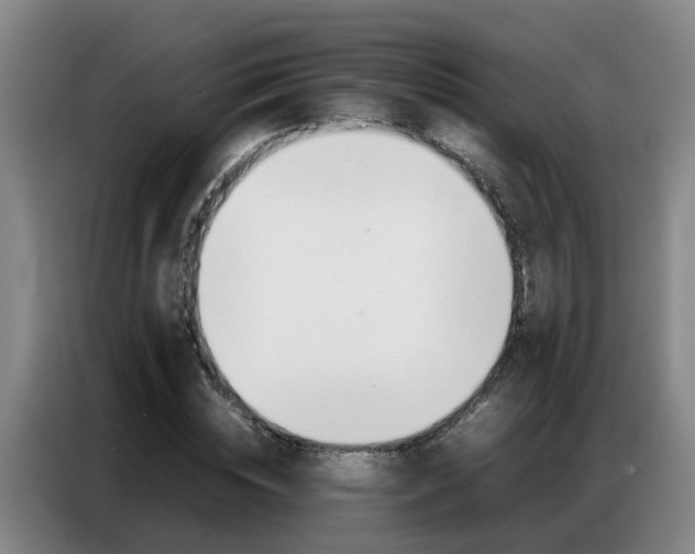 X0000087320828200704200737