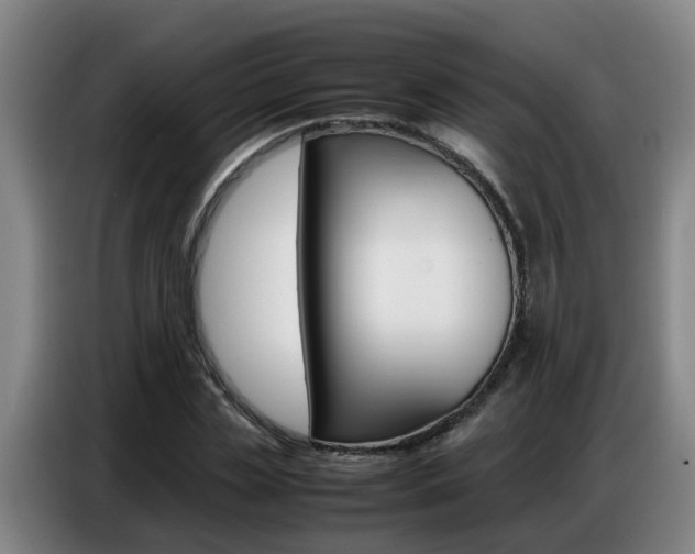 X0000087320829200704200737