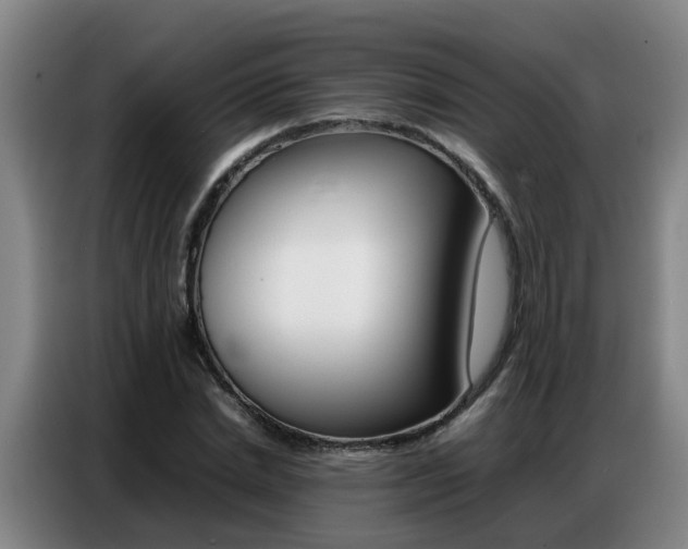 X0000087320830200704200737
