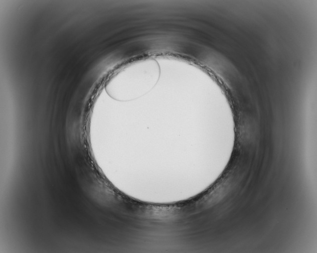 X0000087320832200704200737