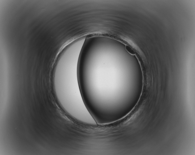 X0000087320834200704200737