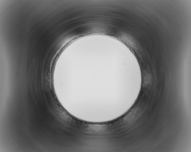 X0000087320836200704200737