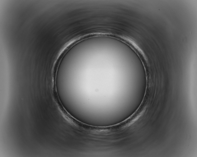 X0000087320837200704200737