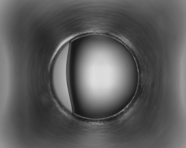 X0000087320838200704200737