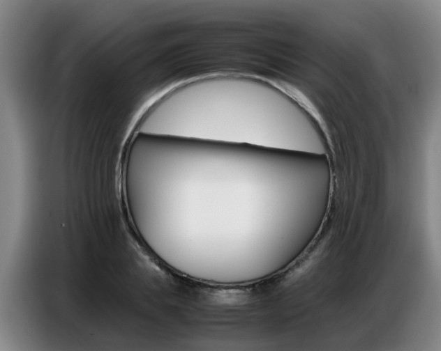 X0000087320839200704200737