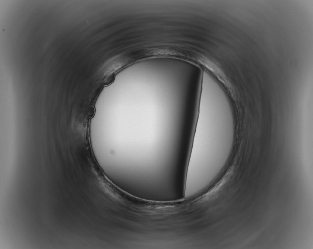 X0000087320841200704200737
