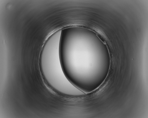 X0000087320842200704200737