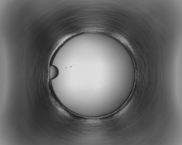 X0000087320844200704200737