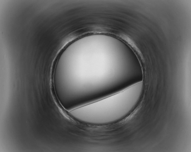 X0000087320845200704200737
