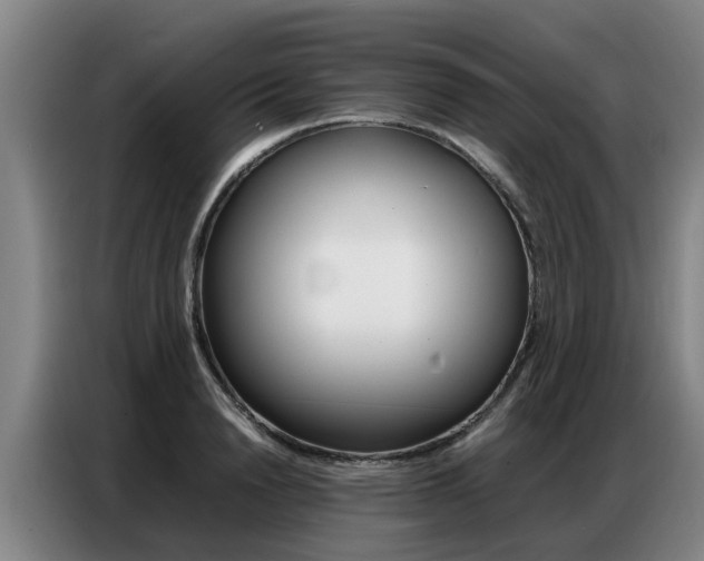 X0000087320846200704200737