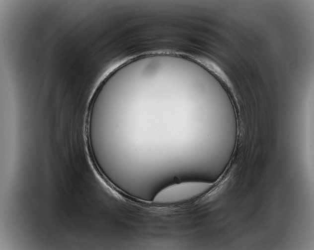 X0000087320847200704200737