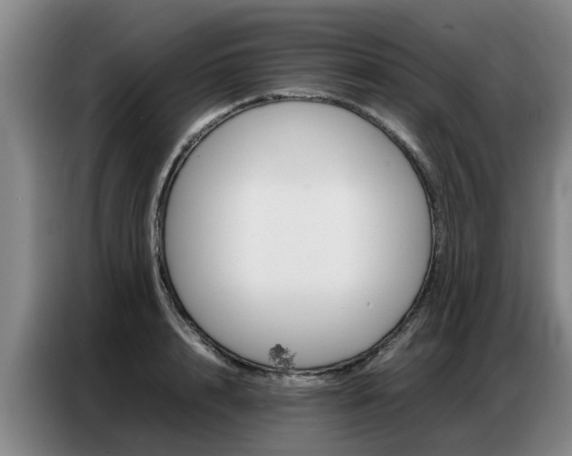 X0000087320848200704200737
