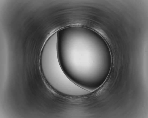 X0000087320850200704200737