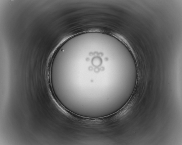 X0000087320851200704200737