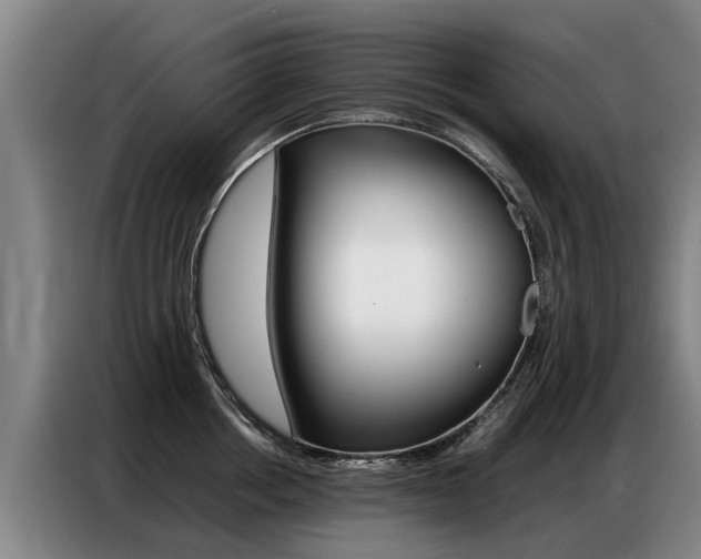 X0000087320858200704200738