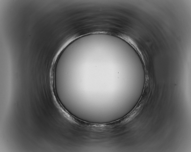 X0000087320859200704200738