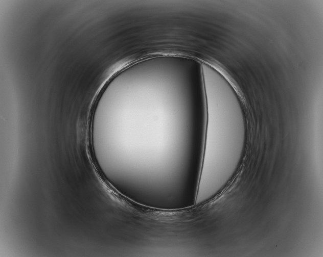 X0000087320861200704200738