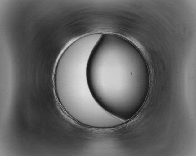 X0000087320864200704200738