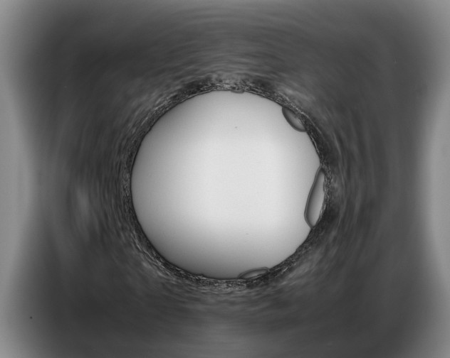X0000087320865200704200737