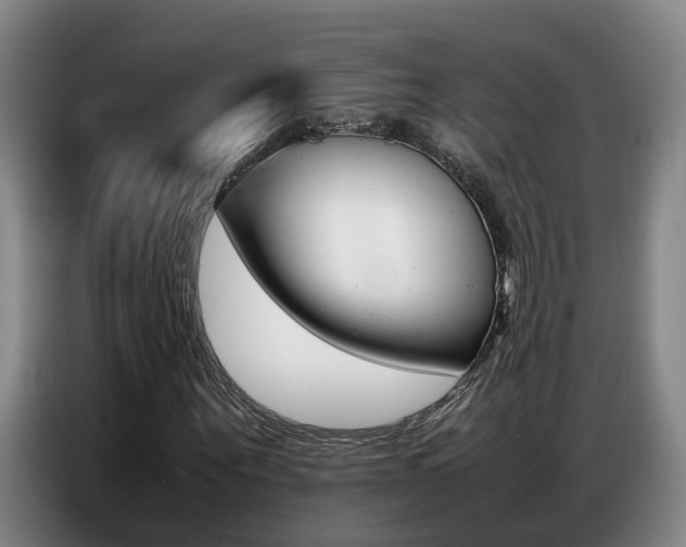 X0000087320867200704200737