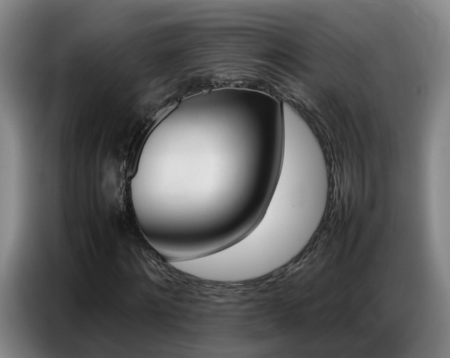X0000087320868200704200737