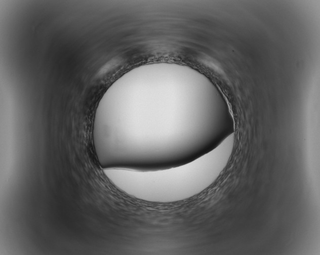 X0000087320869200704200737