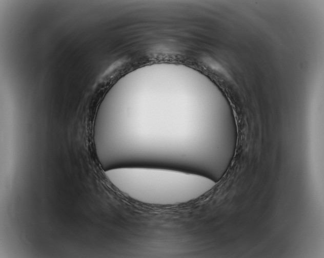 X0000087320870200704200737