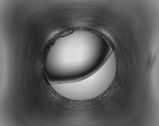 X0000087320872200704200737