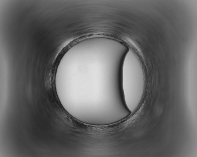 X0000087320875200704200737