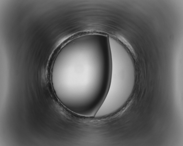 X0000087320876200704200737