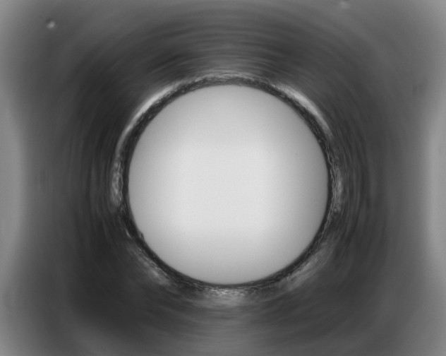 X0000087320878200704200737