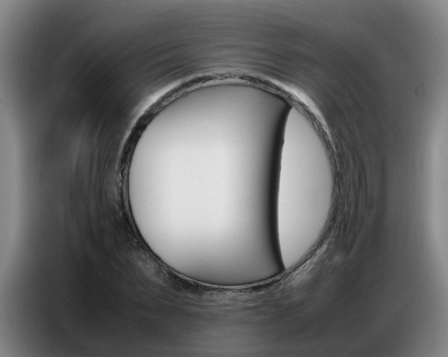 X0000087320879200704200737