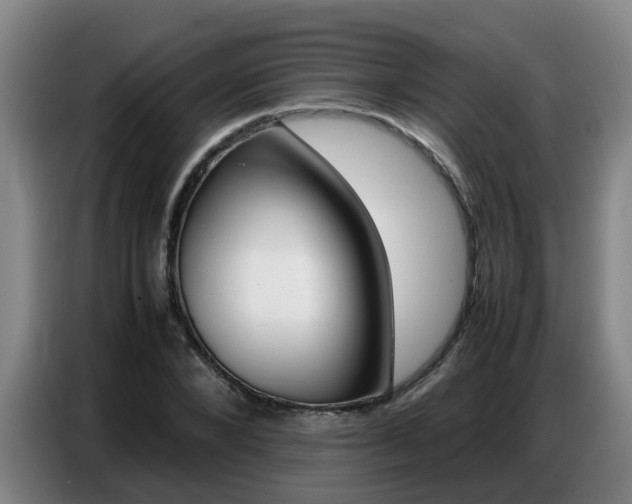 X0000087320880200704200737