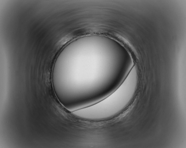 X0000087320881200704200737