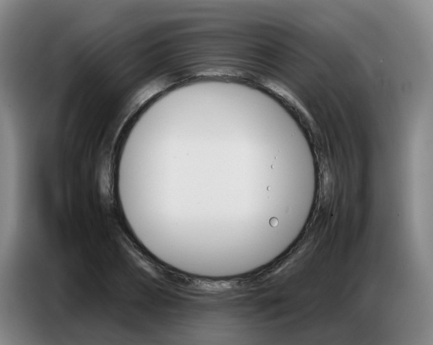X0000087320882200704200737