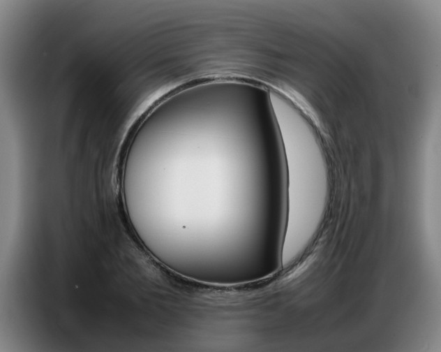 X0000087320885200704200737