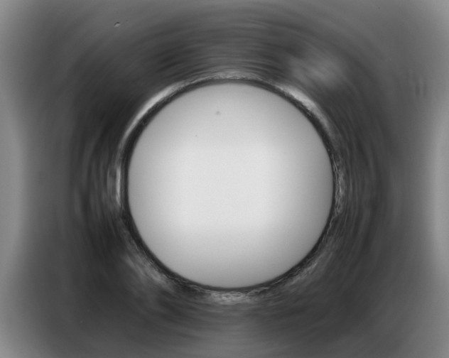 X0000087320886200704200737