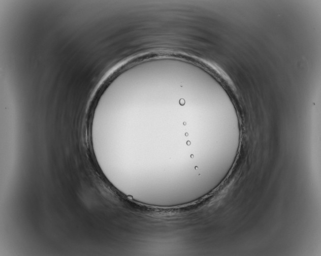 X0000087320887200704200737
