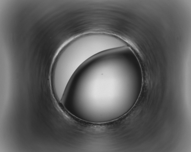 X0000087320888200704200737
