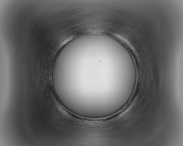 X0000087320889200704200737