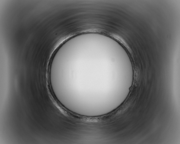 X0000087320890200704200737