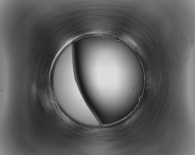 X0000087320892200704200737