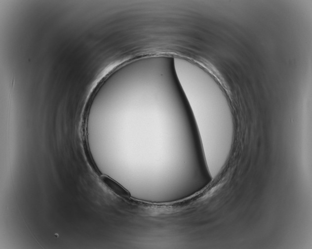 X0000087320893200704200737